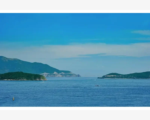 吃银耳，能否有效化痰？了解银耳的功效与作用