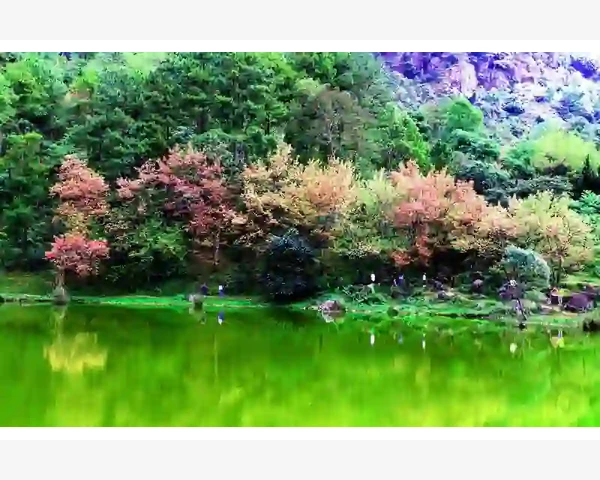 通过人流后皮肤怎么调理